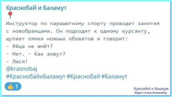 Краснобай и Баламут
https://t.me/krasnobaj 
@krasnobaj
#КраснобайиБаламут #Краснобай #Баламут
Krasnobaj i Balamut
https://vk.com/album-57971047_283680241