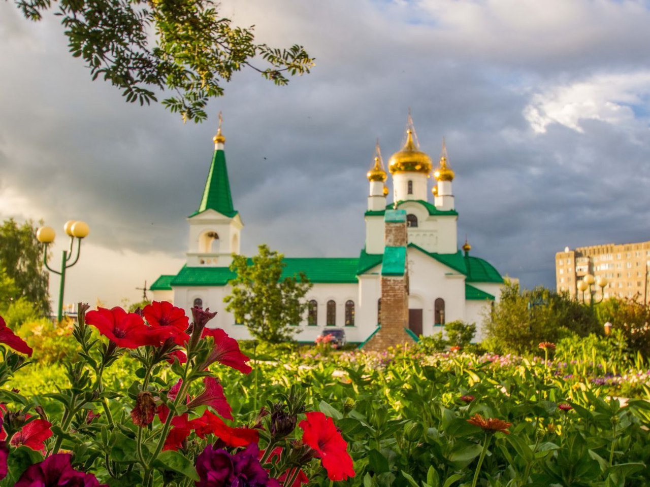 Заринск алтайский край сайты