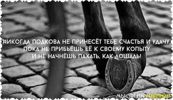 Никогда подкова не принесет тебе счастья и удачу пока картинки