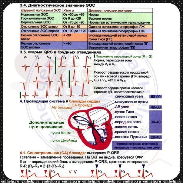 Кардиология в таблицах и схемах