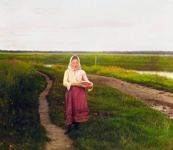 Девочка с земляникой, берег реки Шексна, Новгородская губерния, Череповецкий уезд, деревня Бурково, 1909 год.