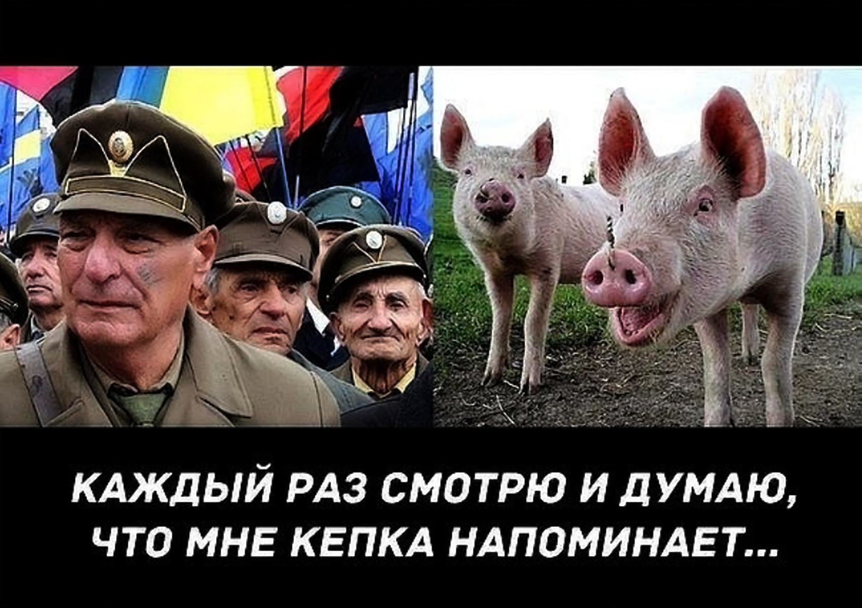 Европа свинья. Приколы про Хохлов. Украинские войска свиньи.
