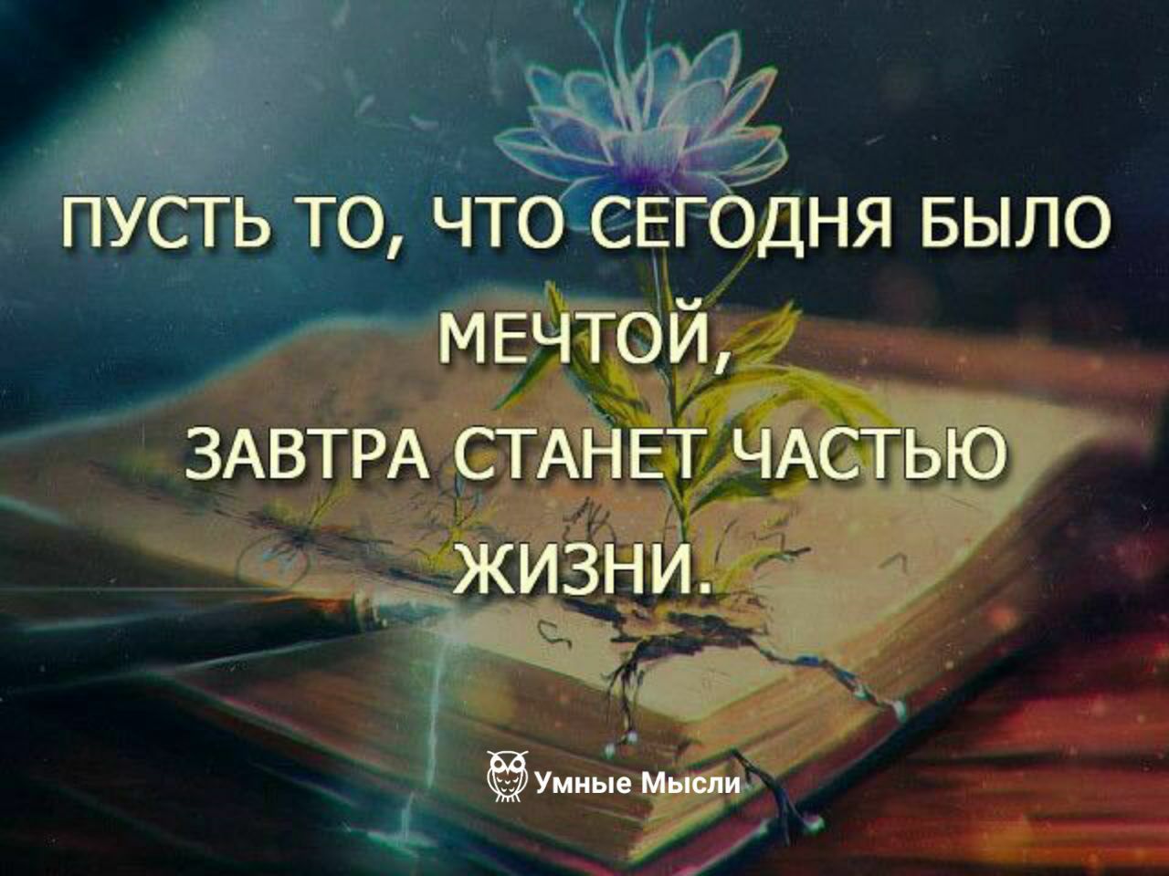 Пусть возможности. Великие возможности приходят ко всем но многие. Цитаты Великие возможности приходят ко всем. Пусть станет невозможное возможным. Возможности приходят.