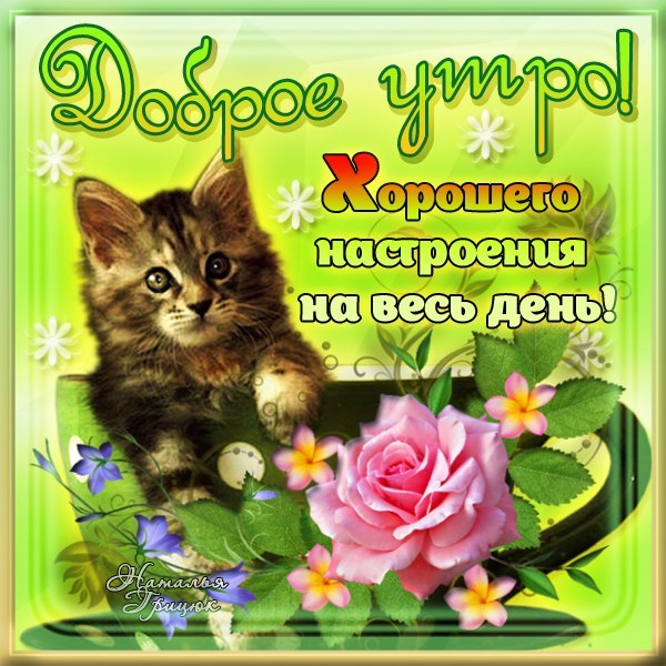 Картинки веселого настроения на весь день, открытки озон