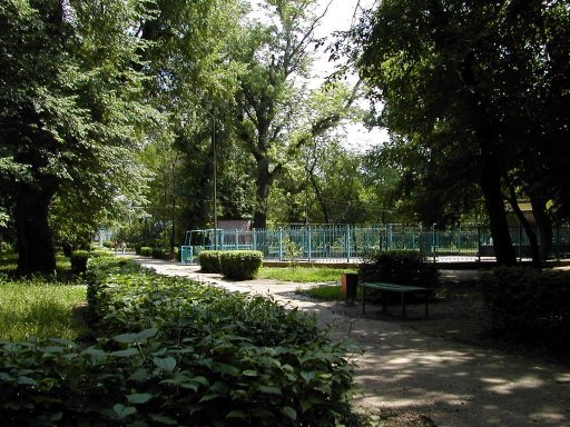 Нижний парк зеленокумск фото