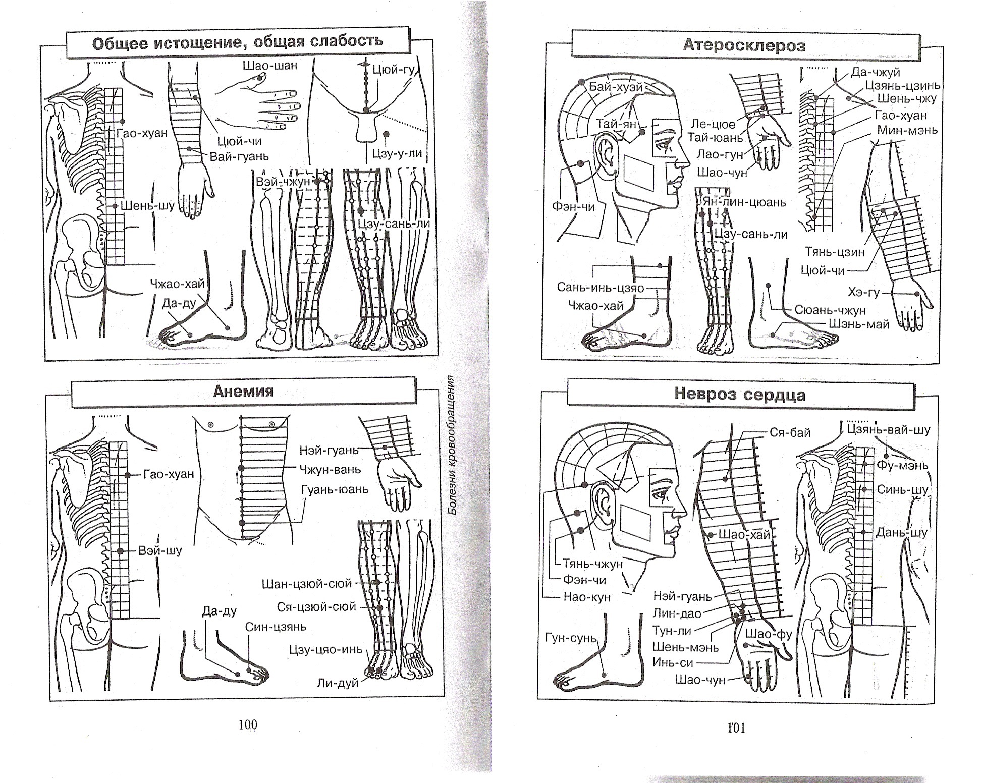 Атлас леднева 176 схем биологически активных точек для лечения 200 болезней